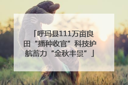 呼玛县111万亩良田“播种收官”科技护航蓄力“金秋丰景”