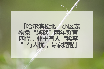 哈尔滨松北一小区宠物兔“越狱”两年繁育四代，业主有人“稀罕”有人忧，专家提醒