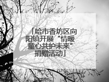 哈市香坊区向阳镇开展“情暖童心共护未来”捐赠活动