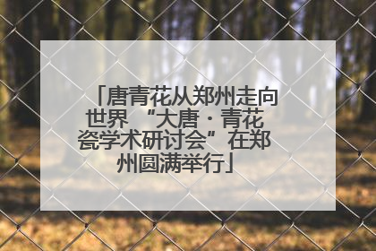 唐青花从郑州走向世界 “大唐・青花瓷学术研讨会”在郑州圆满举行