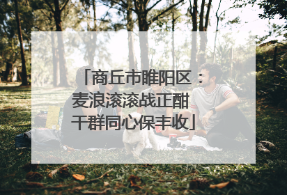 商丘市睢阳区：麦浪滚滚战正酣 干群同心保丰收