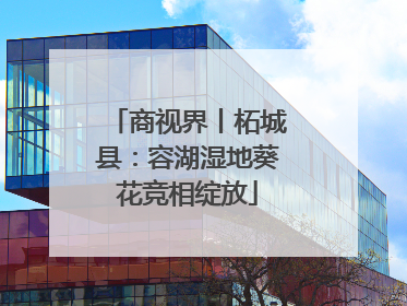 商视界丨柘城县：容湖湿地葵花竞相绽放