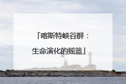 喀斯特峡谷群：生命演化的摇篮
