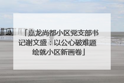 嘉龙尚都小区党支部书记谢文盛：以公心破难题 绘就小区新画卷