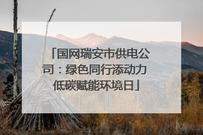 国网瑞安市供电公司：绿色同行添动力 低碳赋能环境日