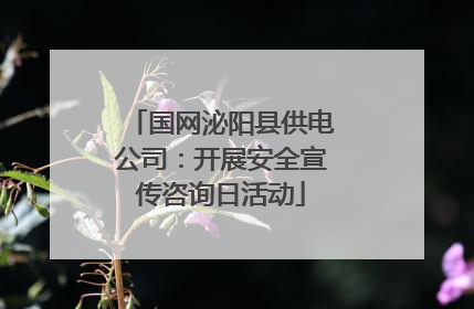 国网泌阳县供电公司：开展安全宣传咨询日活动