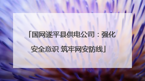 国网遂平县供电公司：强化安全意识 筑牢网安防线