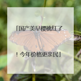 国产美早樱桃红了！今年价格更亲民