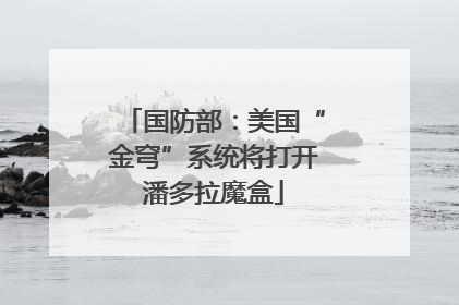 国防部：美国“金穹”系统将打开潘多拉魔盒
