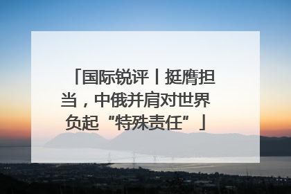 国际锐评丨挺膺担当，中俄并肩对世界负起“特殊责任”