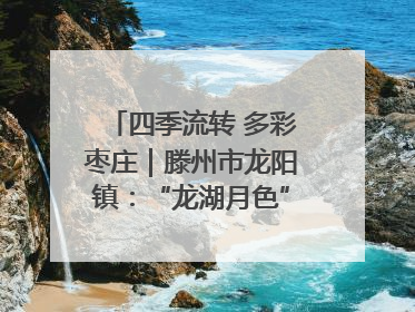 四季流转 多彩枣庄｜滕州市龙阳镇：“龙湖月色”向日葵花海 绘就乡村振兴新画卷