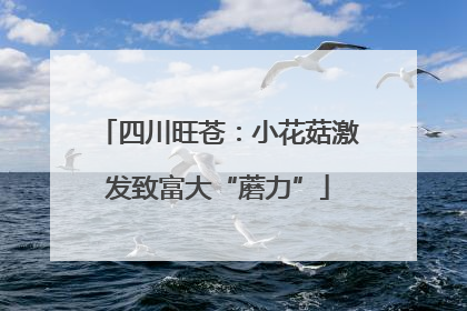 四川旺苍：小花菇激发致富大“蘑力”