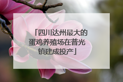 四川达州最大的蛋鸡养殖场在普光镇建成投产
