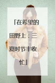 在希望的田野上：三夏时节丰收忙