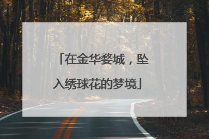 在金华婺城，坠入绣球花的梦境
