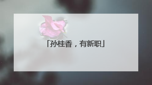 孙桂香，有新职