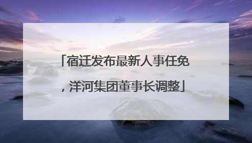 宿迁发布最新人事任免，洋河集团董事长调整