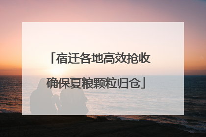 宿迁各地高效抢收 确保夏粮颗粒归仓
