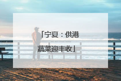 宁夏：供港蔬菜迎丰收