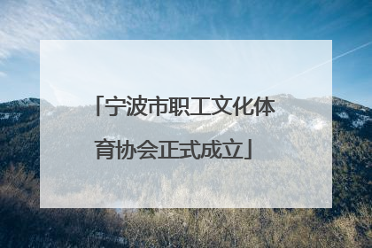 宁波市职工文化体育协会正式成立