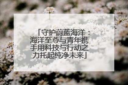 守护蔚蓝海洋：海洋至尊与青年携手用科技与行动之力托起纯净未来