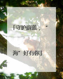 守护蔚蓝，“海”好有你