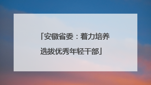安徽省委：着力培养选拔优秀年轻干部
