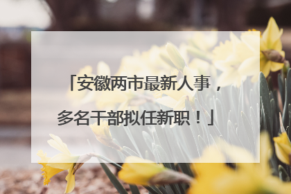 安徽两市最新人事，多名干部拟任新职！