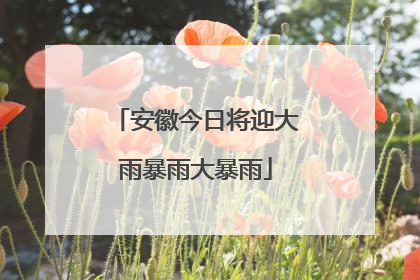 安徽今日将迎大雨暴雨大暴雨