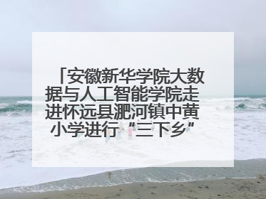 安徽新华学院大数据与人工智能学院走进怀远县淝河镇中黄小学进行“三下乡”支教活动