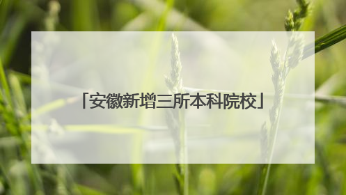 安徽新增三所本科院校