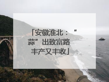 安徽淮北：“蒜”出致富路 丰产又丰收