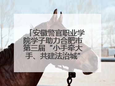 安徽警官职业学院学子助力合肥市第三届“小手牵大手、共建法治城”公益普法活动