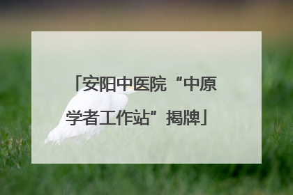 安阳中医院“中原学者工作站”揭牌