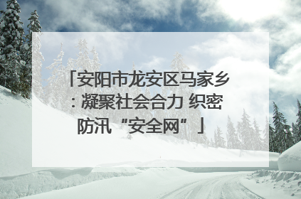 安阳市龙安区马家乡：凝聚社会合力 织密防汛“安全网”