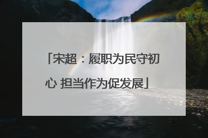 宋超：履职为民守初心 担当作为促发展