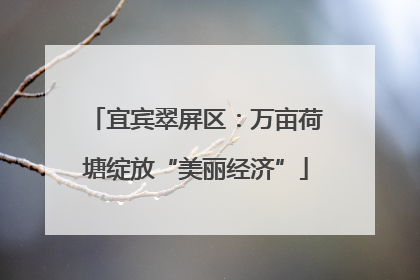 宜宾翠屏区：万亩荷塘绽放“美丽经济”