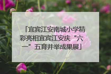 宜宾江安南城小学精彩亮相宜宾江安庆“六一”五育并举成果展