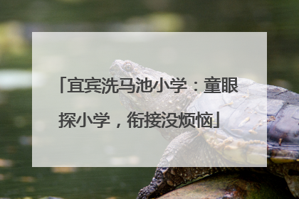 宜宾洗马池小学：童眼探小学，衔接没烦恼