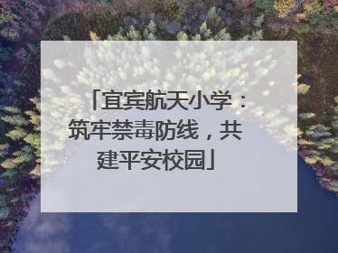 宜宾航天小学：筑牢禁毒防线，共建平安校园