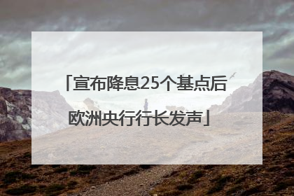 宣布降息25个基点后 欧洲央行行长发声