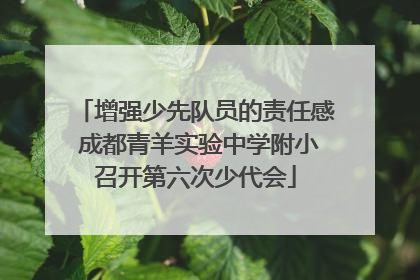 增强少先队员的责任感 成都青羊实验中学附小召开第六次少代会