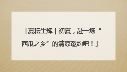夏耘生辉｜初夏，赴一场“西瓜之乡”的清凉邀约吧！