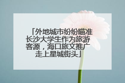 外地城市纷纷瞄准长沙大学生作为旅游客源，海口旅文推广走上星城街头