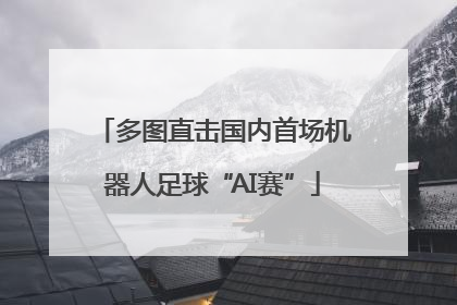 多图直击国内首场机器人足球“AI赛”