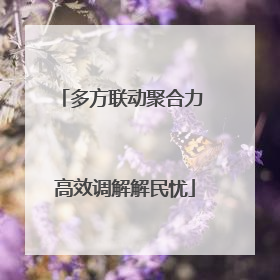 多方联动聚合力 高效调解解民忧
