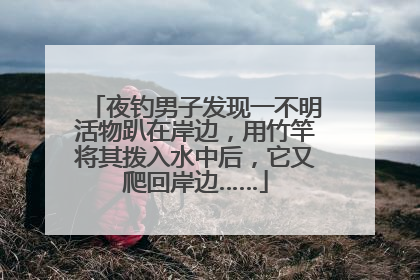 夜钓男子发现一不明活物趴在岸边，用竹竿将其拨入水中后，它又爬回岸边……