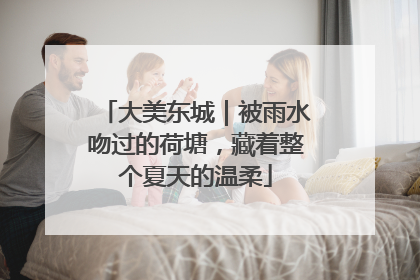 大美东城｜被雨水吻过的荷塘，藏着整个夏天的温柔
