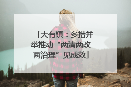 大有镇：多措并举推动“两清两改两治理”见成效