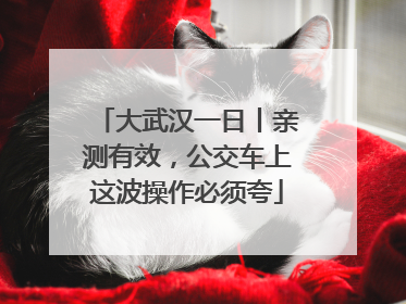 大武汉一日丨亲测有效，公交车上这波操作必须夸